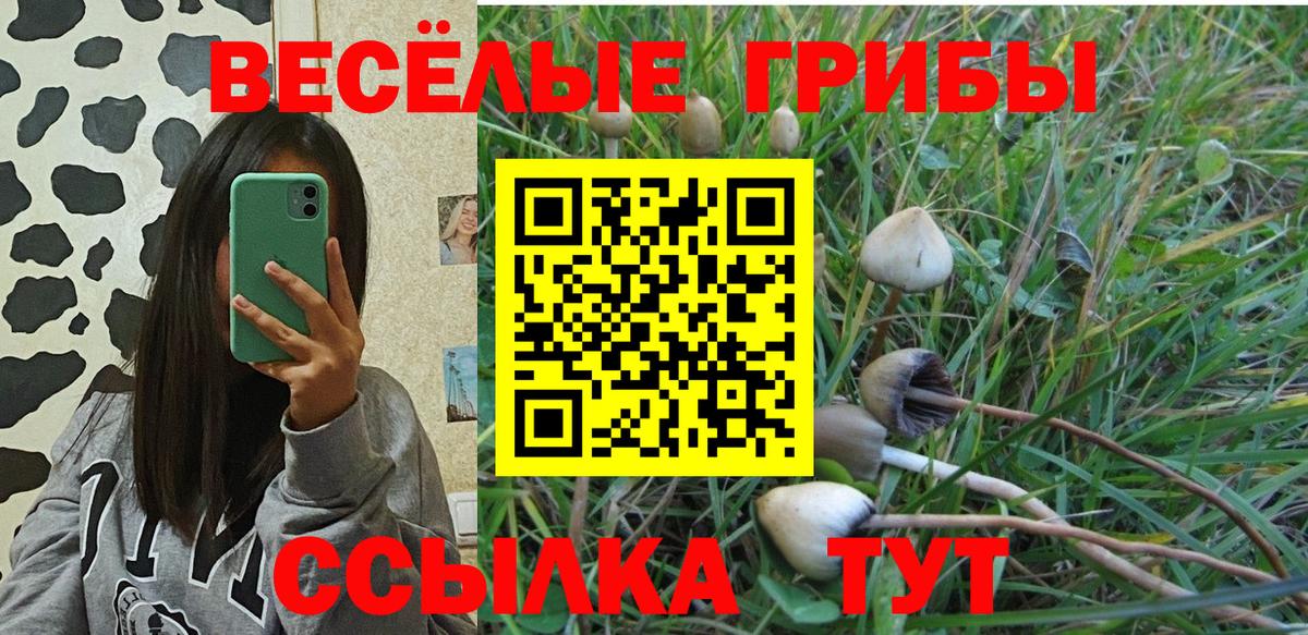 Псилоцибиновые грибы Magic Shrooms Учалы
