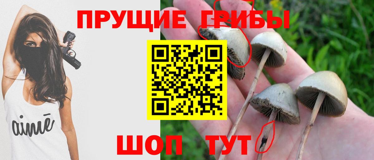 Псилоцибиновые грибы мицелий  Вход с VPN  Учалы 